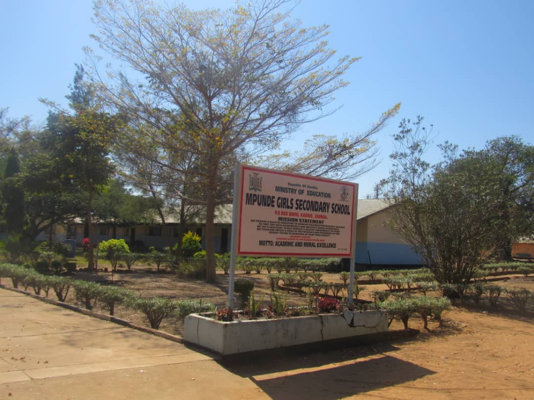 Background Image 1
