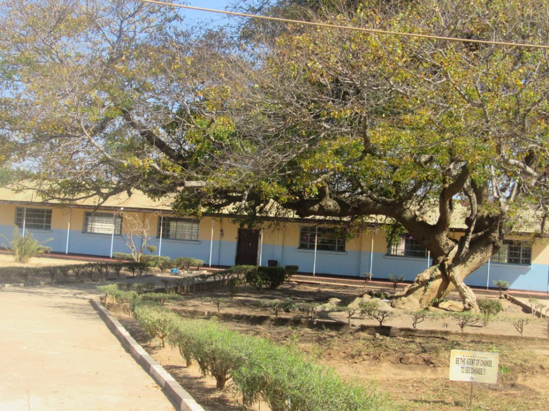Background Image 2